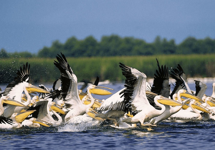 Danube Delta - The Place Where Time Stands Danube Delta - The Place Where Time Stands