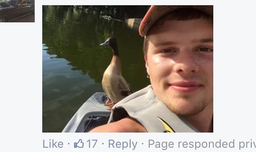 Duck Hitches Rides With Kayakers