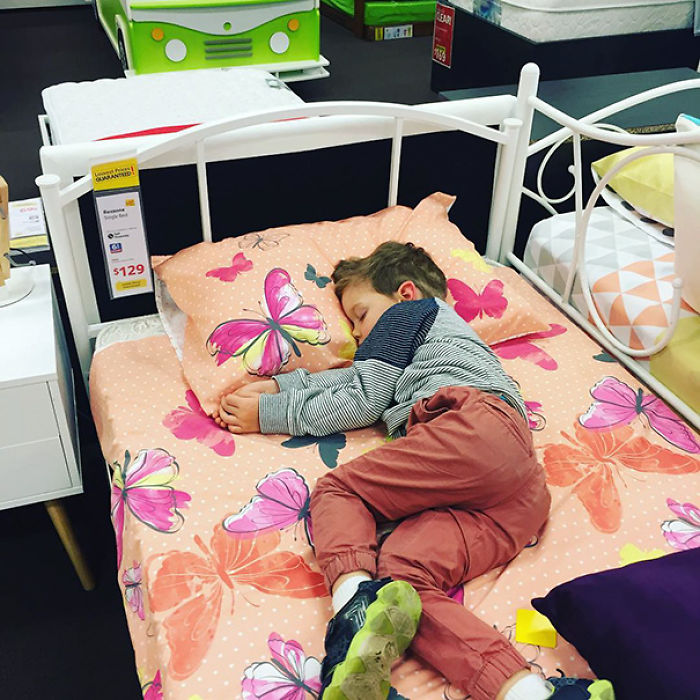 Napping In The Furniture Shop