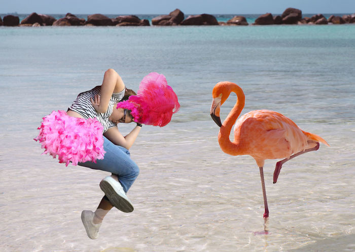 Flamingo Harmony