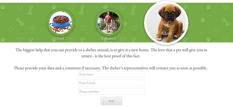 I Found A Website That Live Streams From Animal Shelters