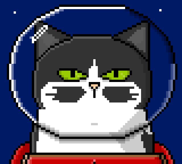 I Turned My Sick Cat Into Pixel Art And Send Her On A Grand Space Adventure