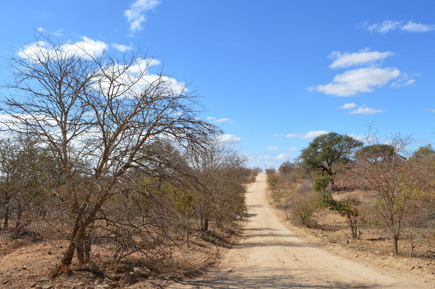 We Visited Kruger National Park Last Month And It Was A Life Changing Experience
