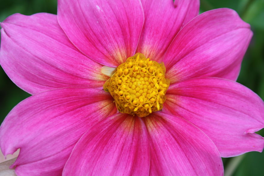 I Decided To Post My Mom's Photos. I Decided To Post My Mom's Photos.