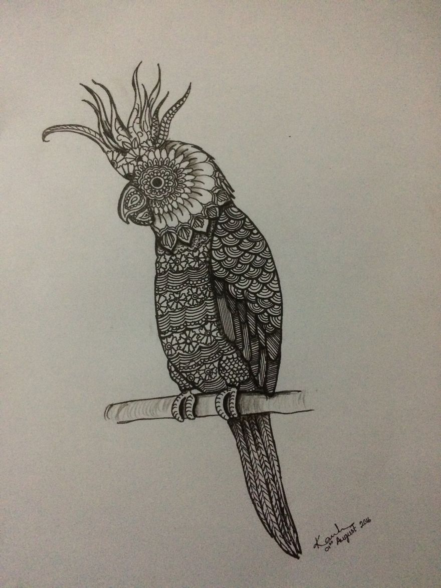 Doodles All Over...