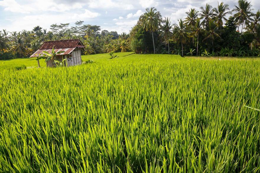 Our Soul Journey In Ubud, Bali