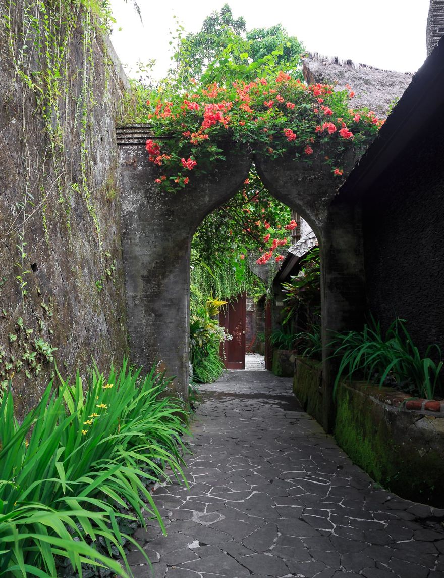 Our Soul Journey In Ubud, Bali