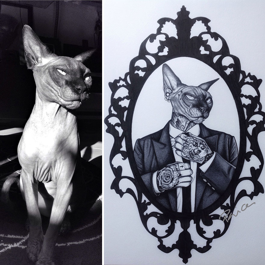 I Quit My Job 3 Years Ago To Create Badass Cat Portraits