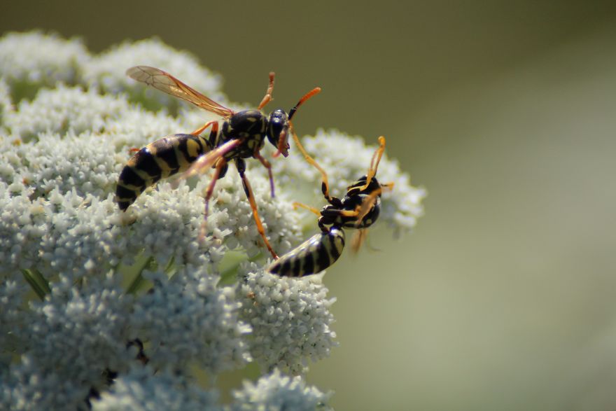 Little Garden Of Eden