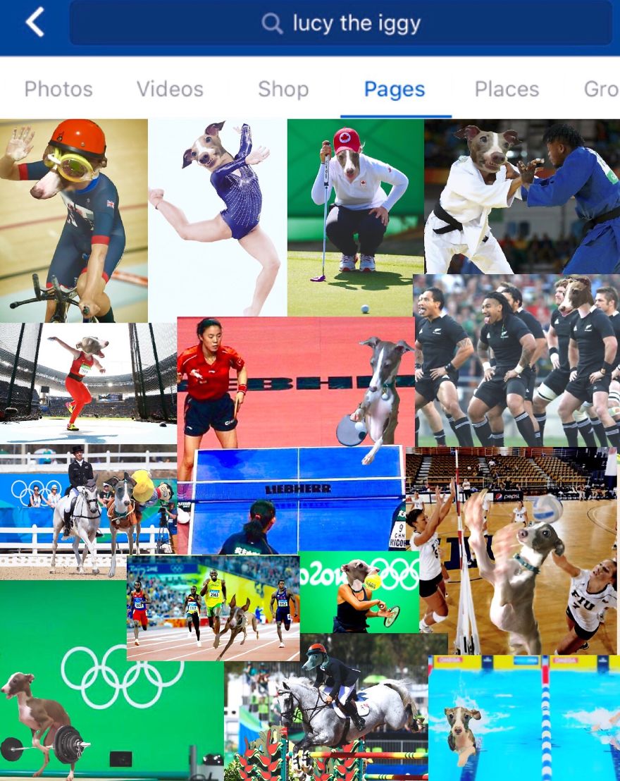 *lucy The Iggy* - The World's Greatest Multi-sports Athlete (rio 2016 Olympics Breaking News)