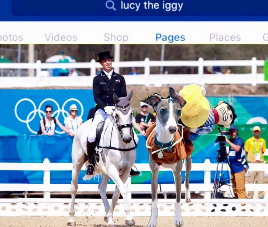 *lucy The Iggy* - The World's Greatest Multi-sports Athlete (rio 2016 Olympics Breaking News)