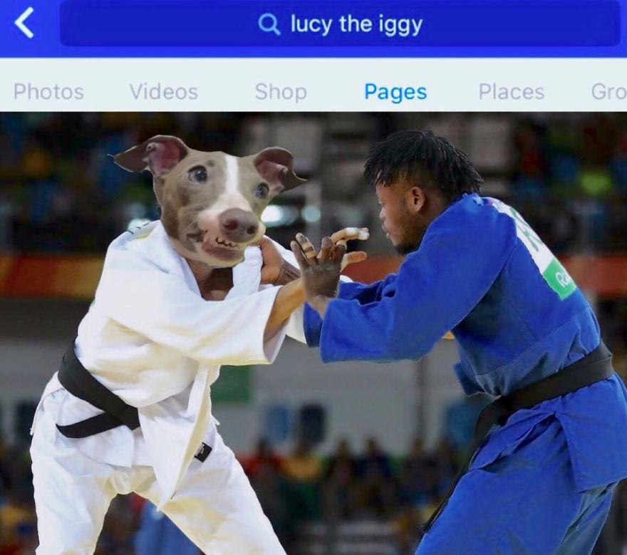 *lucy The Iggy* - The World's Greatest Multi-sports Athlete (rio 2016 Olympics Breaking News)