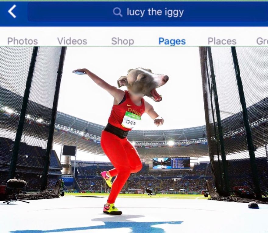 *lucy The Iggy* - The World's Greatest Multi-sports Athlete (rio 2016 Olympics Breaking News)