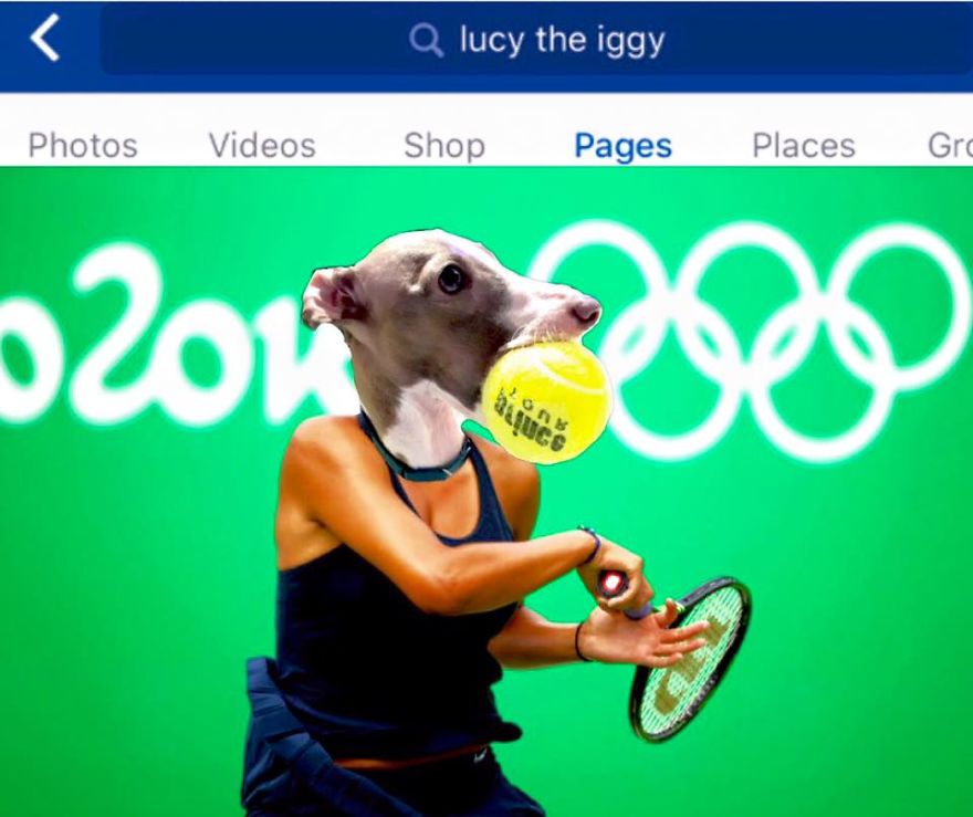 *lucy The Iggy* - The World's Greatest Multi-sports Athlete (rio 2016 Olympics Breaking News)