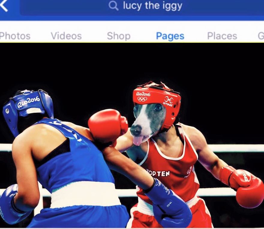 *lucy The Iggy* - The World's Greatest Multi-sports Athlete (rio 2016 Olympics Breaking News)