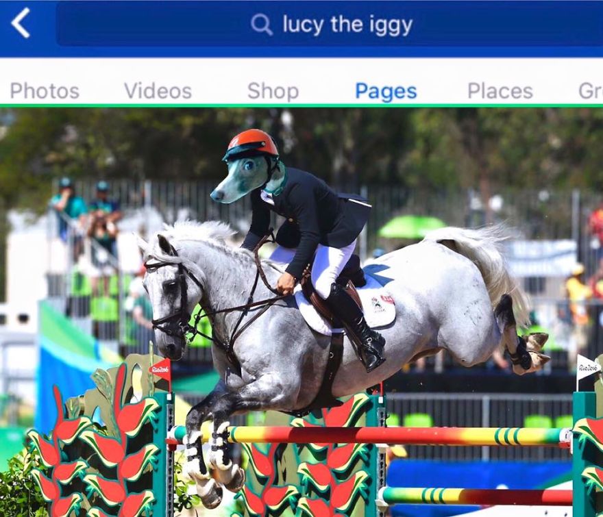 *lucy The Iggy* - The World's Greatest Multi-sports Athlete (rio 2016 Olympics Breaking News)