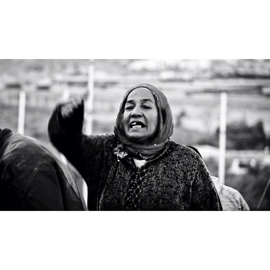 My Photographs Of The Lady Mules Of Morocco My Photographs Of The Lady Mules Of Morocco