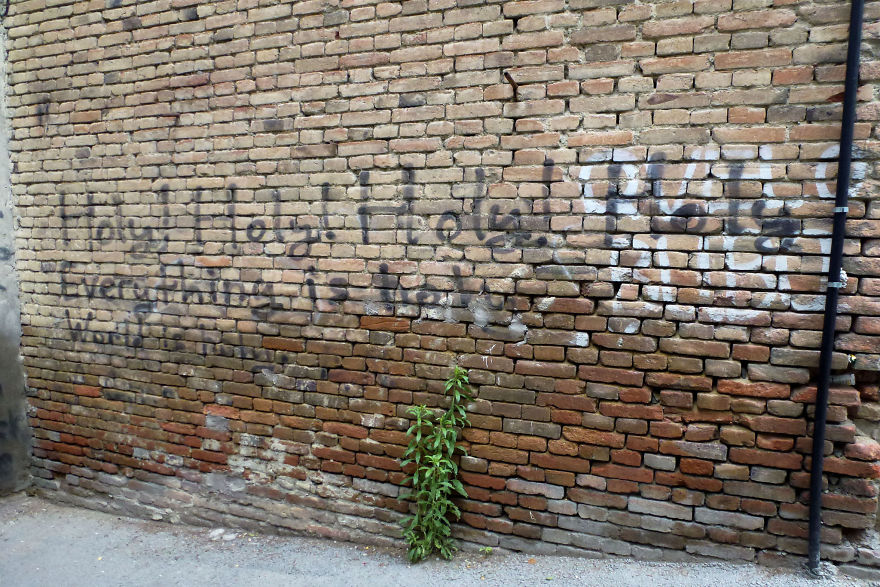 I Walked The Streets Of Tbilisi And Batumi, Republic Of Georgia, Photographing Graffiti