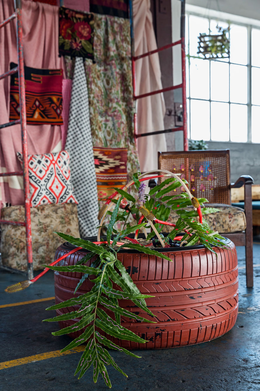 Urban Forests - A Documentation Of Plant Life In The City.