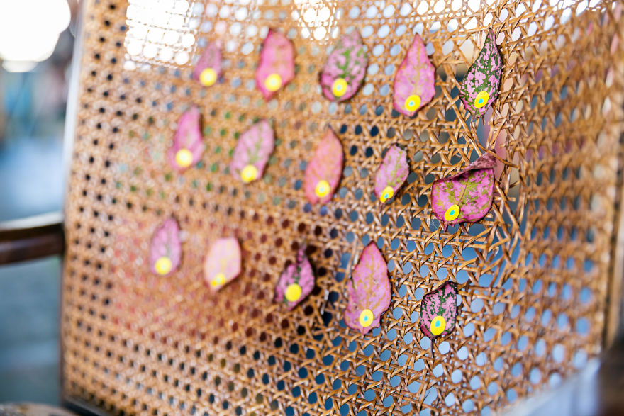 Urban Forests - A Documentation Of Plant Life In The City.