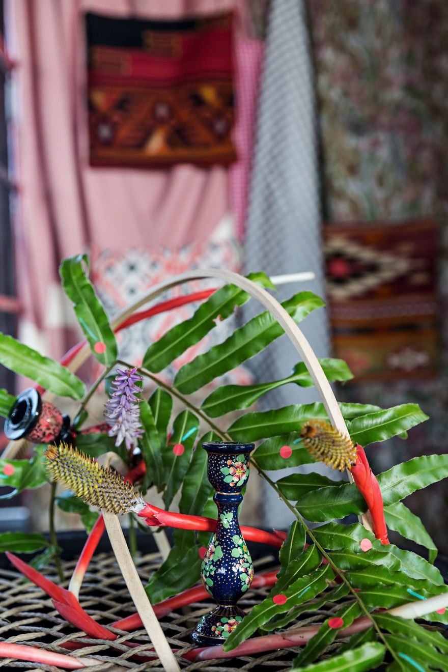 Urban Forests - A Documentation Of Plant Life In The City.