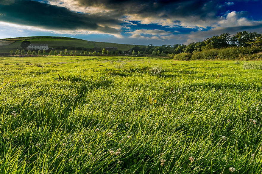 Road To Pendle Hill