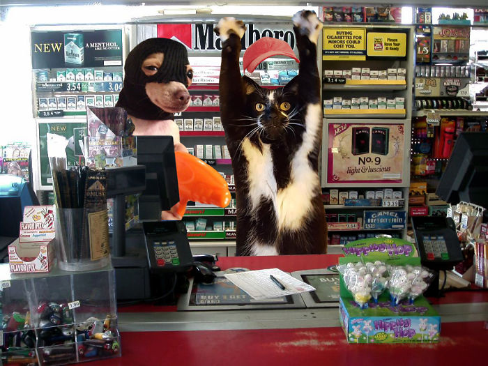 Store Clerk Kitty Is Having A Bad Day...