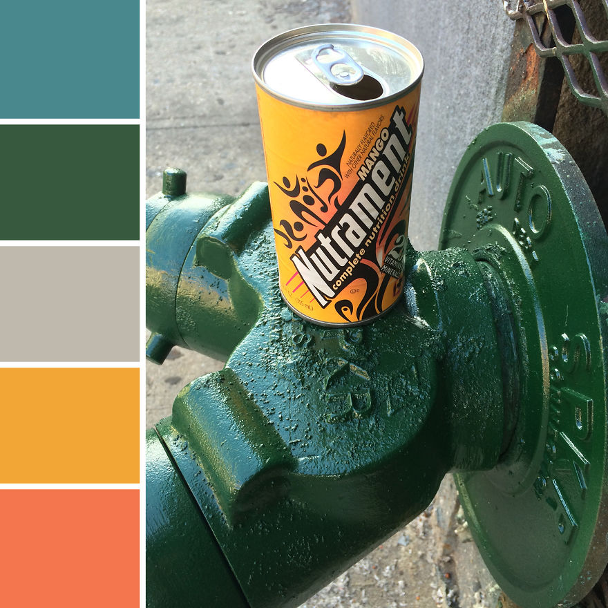 Trashy Palettes