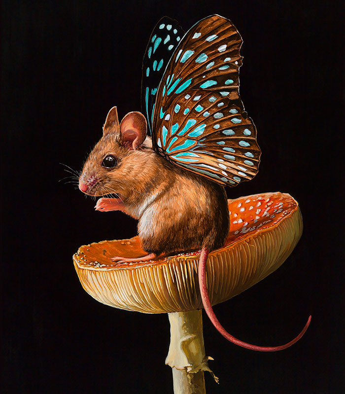 I Painted A New Species I Wish Existed – Meet The Mouserflies