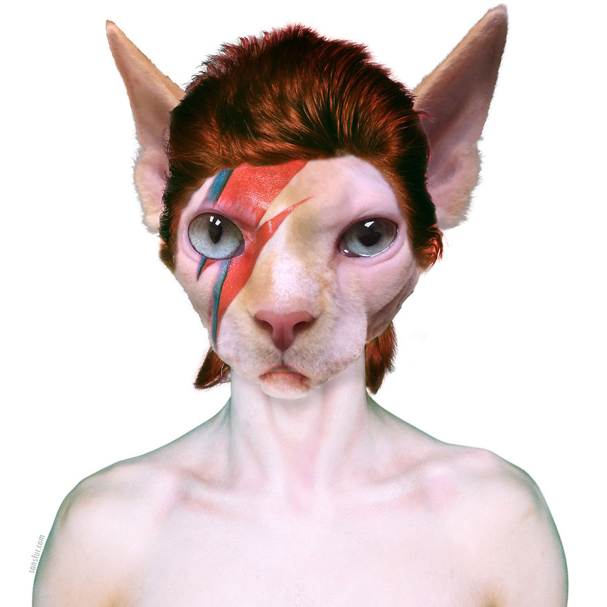 I Photoshop Sphynx Cats Into Pop Culture Art