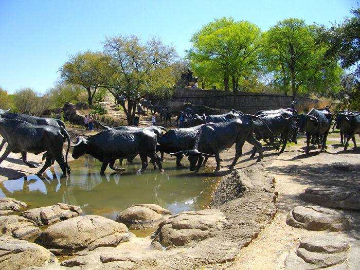 Life-size sculptures of buffalo crossing a shallow water body surrounded by trees and rocks in an outdoor natural setting.