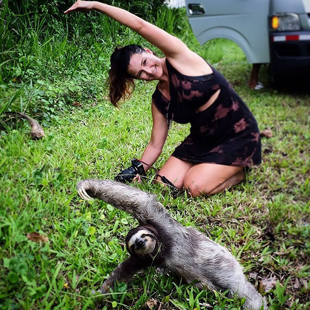 Tourist Girl Stopped To Join Yoga Sloth Lesson