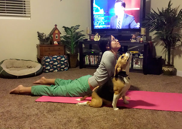 A Typical Thursday Night. Yoga With Dog