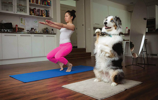 Yogi Practicing Together With Her Dog