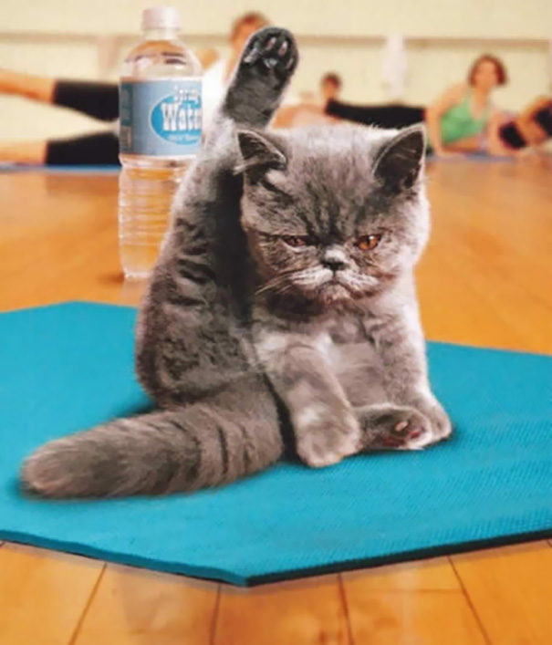 Cutest Yoga Instructor