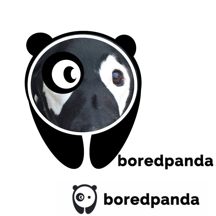 New Boredpanda Logo