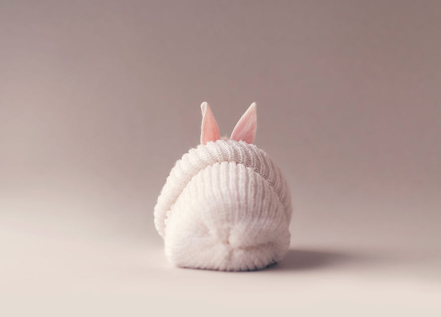 I Did A Newborn Photo Shoot With My Baby Bunny