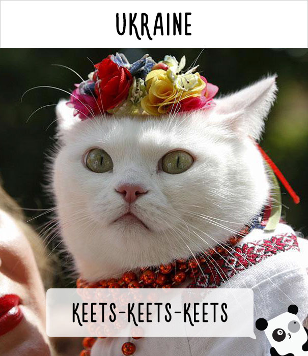 How People Call Cats In Ukraine