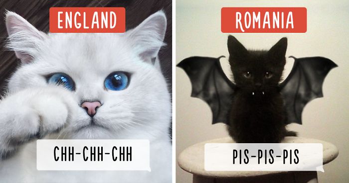How People Call Cats In Different Countries