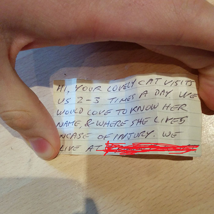 Cat Owner Finds A Note Attached To Its Collar, Learns Her Secret