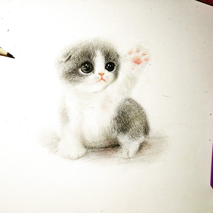 I Draw Furry Adorable Animals To Cure Unhappiness | Bored Panda