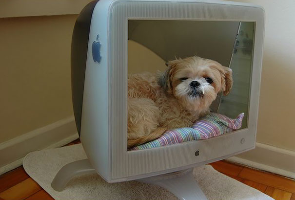 Geeky Dog Bed