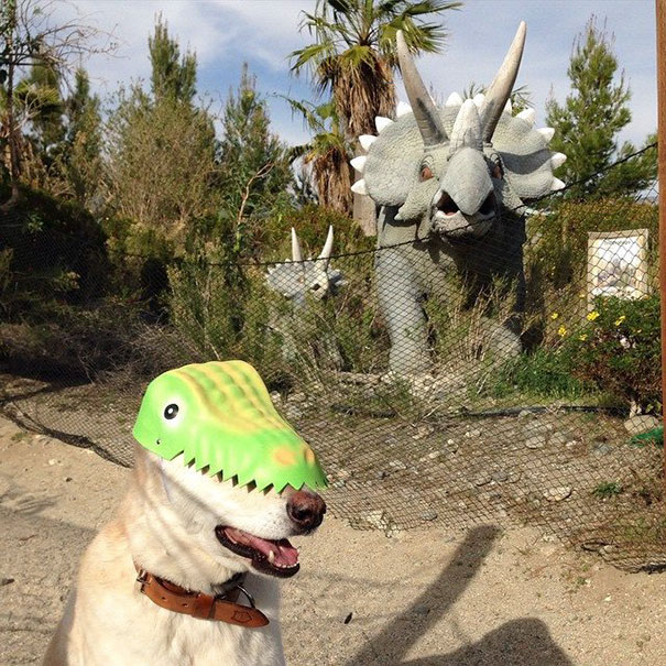 Took My Dog To See Some Dinos Today