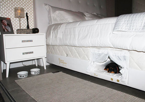 Even If You Don't Let Your Pet To Hop On Your Bed, This Compartment Solves The Problem - You Can Finally Sleep Together With Your Dog!