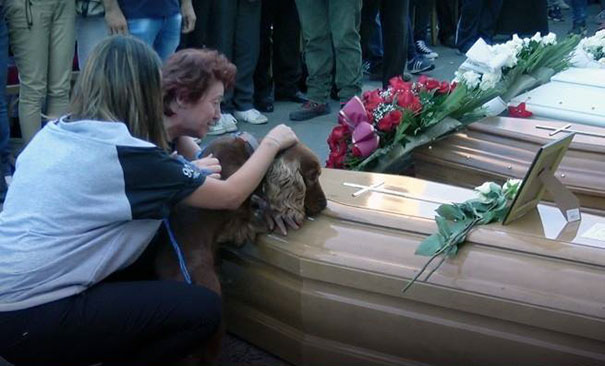 Dog Refuses To Leave Owner's Coffin After Horrific Italy Earthquake