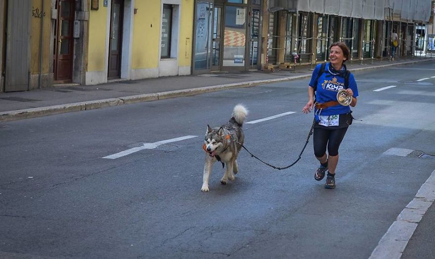 Meet Sljemenka, The Dog With Runner's Heart