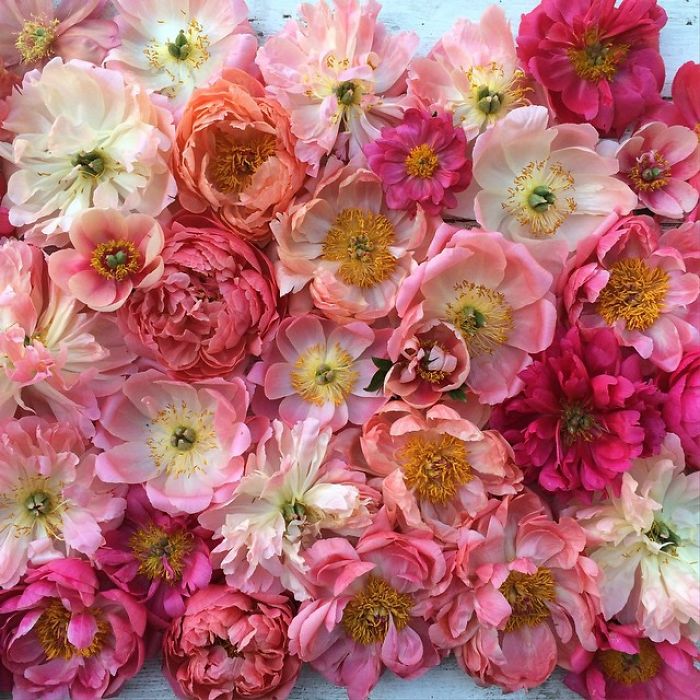 This Instagram Proves That A Florists' Job Is The Best Thing Ever