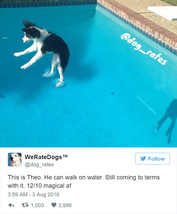 Theo Can Walk On Water. 12/10 Magical AF