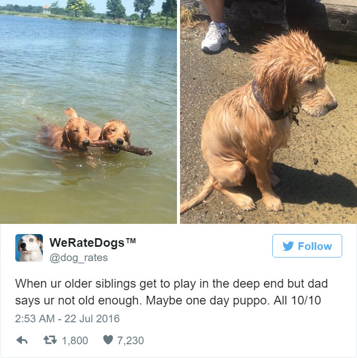 When Ur Not Old Enough To Play In The Deep End. All 10/10
