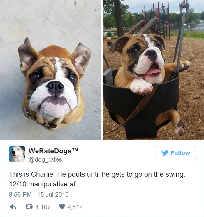 Charlie Pouts Until He Gets To Go On The Swing. 12/10 Manipulative AF